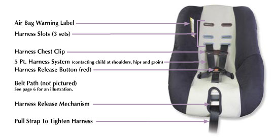 Child safety car seat guidelines