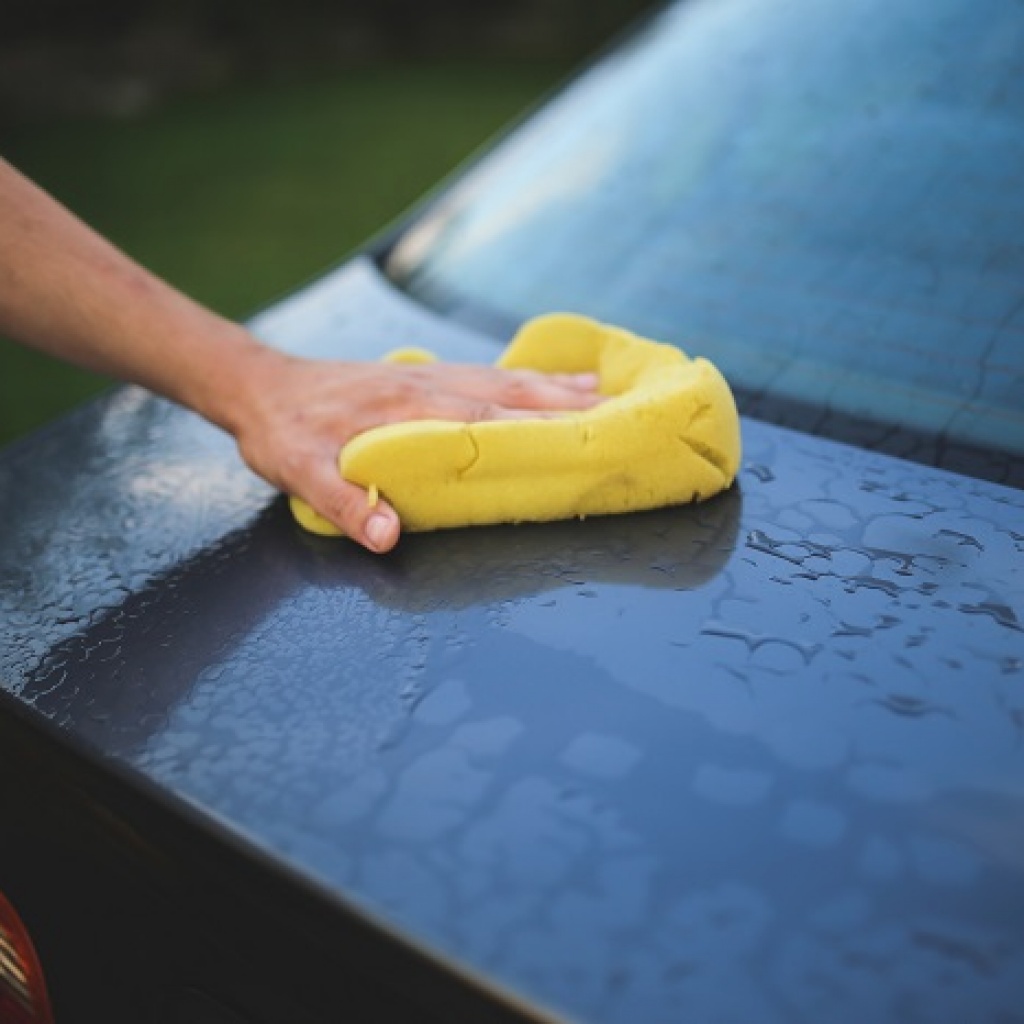 Car Paint Repair