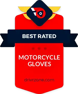 10 Best Motorcycle Gloves Reviewed in 2024